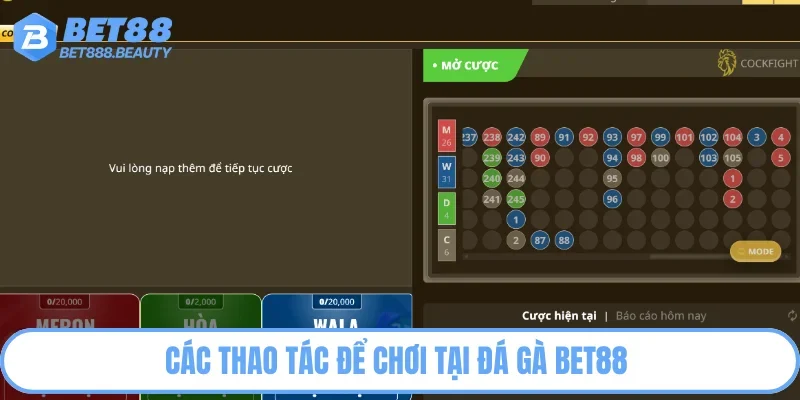 Các thao tác để chơi tại đá gà Bet88