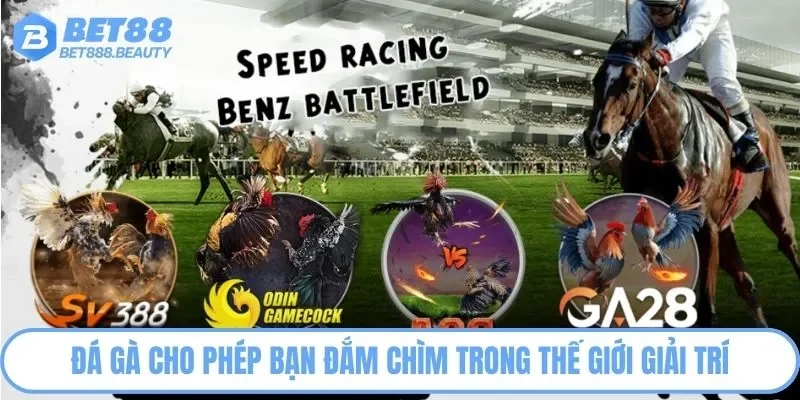 Đá gà Bet88 cho phép bạn đắm chìm trong thế giới giải trí