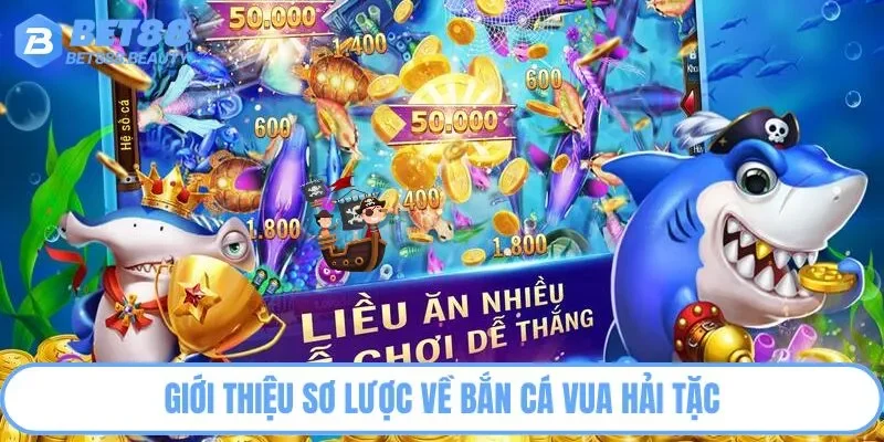 Giới thiệu sơ lược về Bắn Cá Vua Hải Tặc