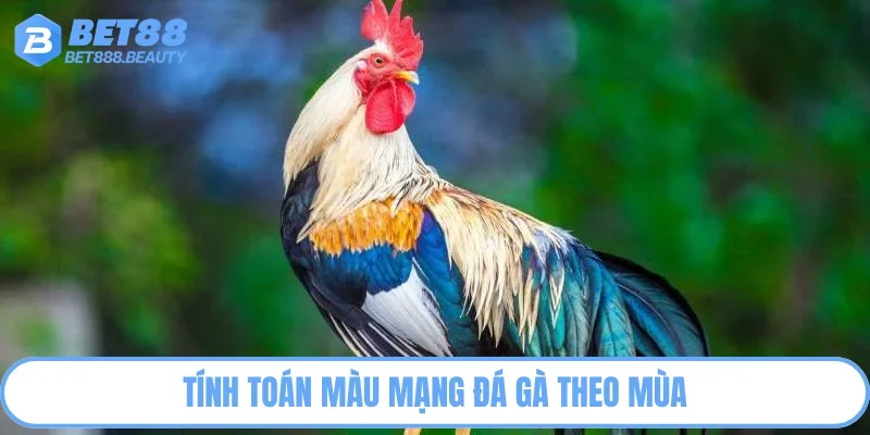 Chọn màu mạng chiến kê theo mùa cực kỳ thông minh